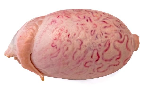 Bull testicles high in vitamins and potassium