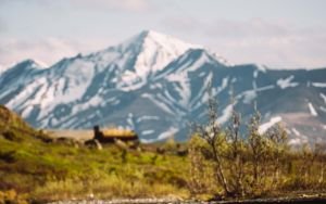 A Guide to Rocky Mountain Oysters